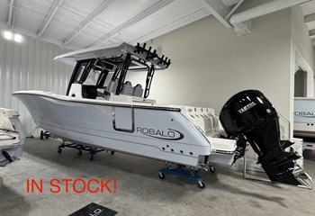 2026 Robalo R300 Alloy Gray Boat